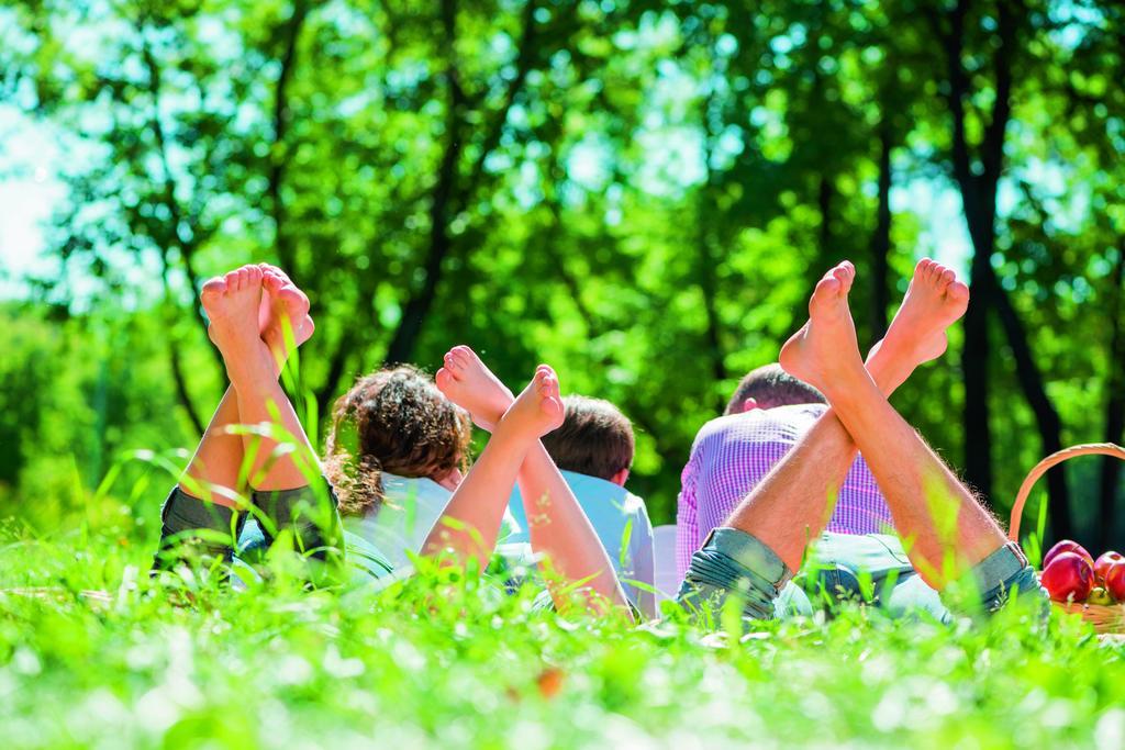 Natuurpark De Witte Bergen Hotel Rouveen Стая снимка