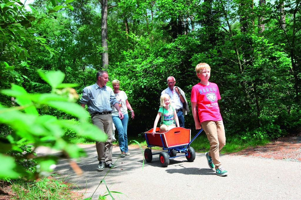 Natuurpark De Witte Bergen Hotel Rouveen Стая снимка